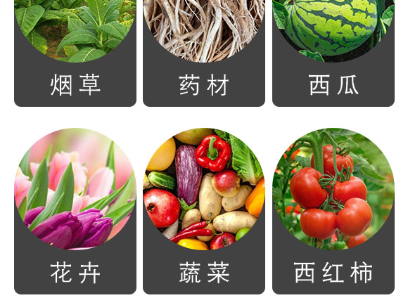 植物防曬霜-好美特 植物防曬霜-好美特