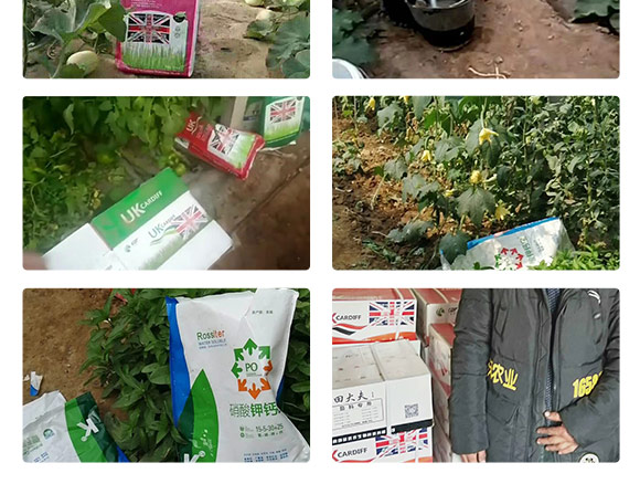 英国卡_夫（北京Q农业科技有限公司产品_08.jpg
