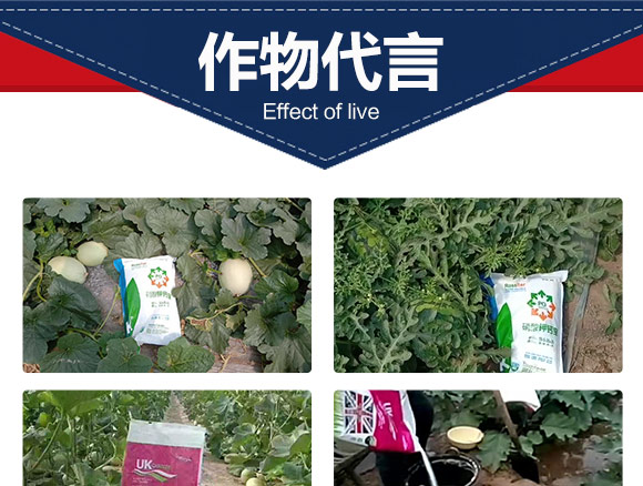 鑻卞浗鍗¤開(kāi)澶紙鍖椾含錛夊啘涓氱鎶鏈夐檺鍏徃浜у搧2_07.jpg 鑻卞浗鍗¤開(kāi)澶紙鍖椾含錛夊啘涓氱鎶鏈夐檺鍏徃浜у搧2_07.jpg