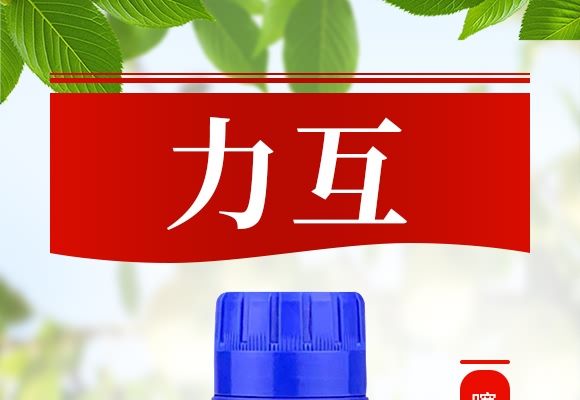 16%xຑҸN--r(nng)