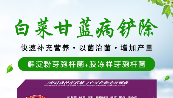 微生物肥-白菜甘藍病鏟除-瑞豐德 微生物肥-白菜甘藍病鏟除-瑞豐德
