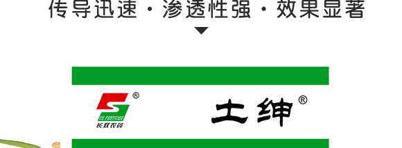 5gfù`ˮɢ--Lpr(nng)ˎ