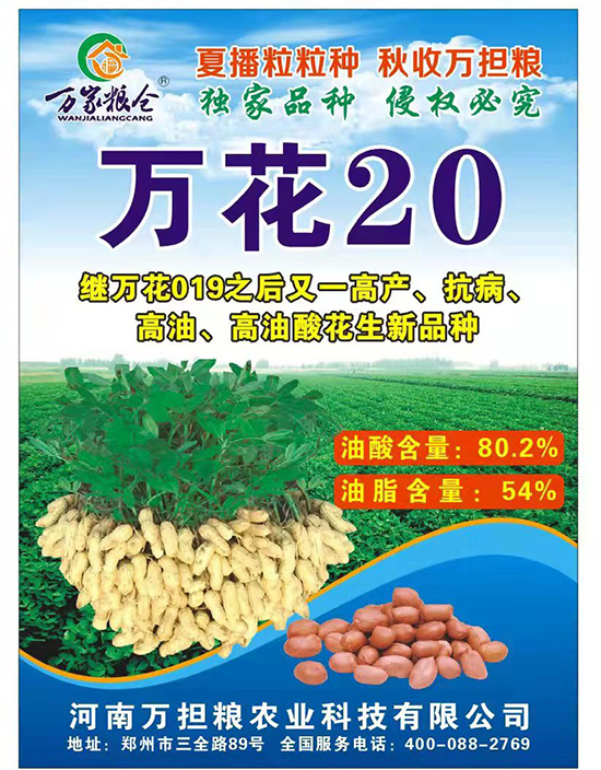 萬花20-花生種子-萬擔(dān)糧 萬花20-花生種子-萬擔(dān)糧