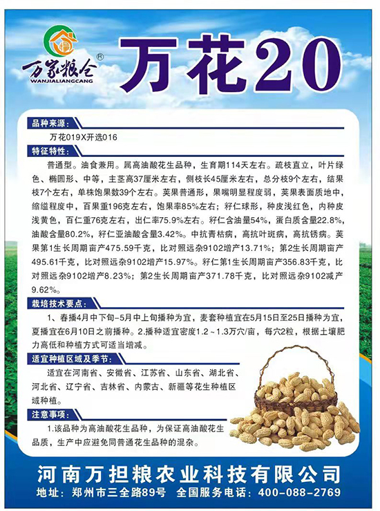 萬花20-花生種子-萬擔(dān)糧 萬花20-花生種子-萬擔(dān)糧