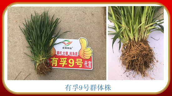 騫葷伅鐗?6.jpg