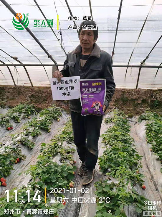 金缕d芽孢杆?聚无?.jpg