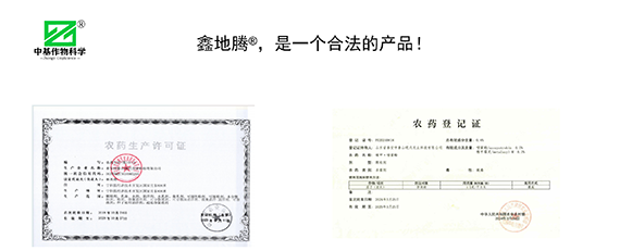 效果展示_01.png