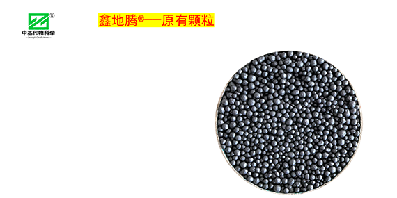 效果展示_02.png