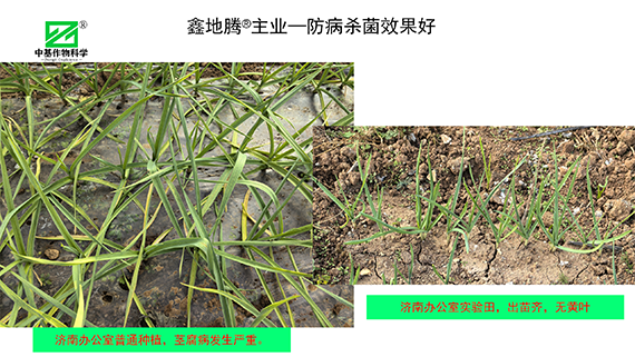 效果展示_06.png