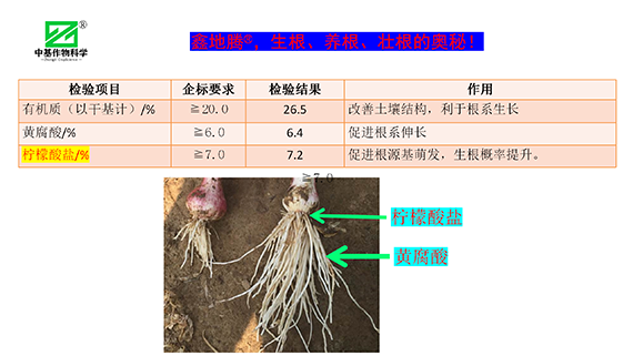 效果展示_07.png