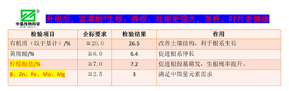 效果展示_08.png
