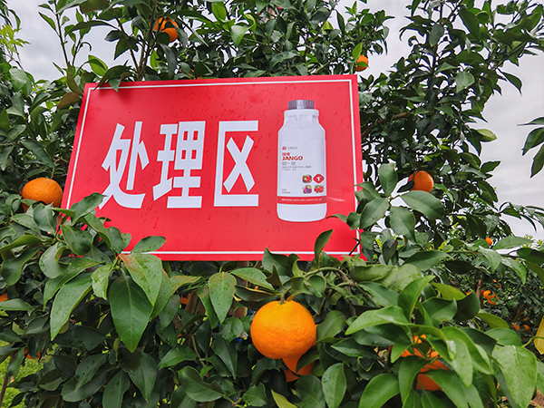 微信囄_20250315090247.jpg