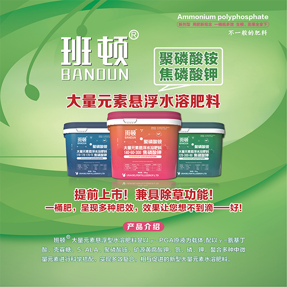 涓扮敯鐢誨唽20250419a_15.jpg 涓扮敯鐢誨唽20250419a_15.jpg