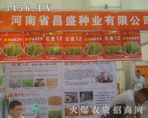 昌盛種業(yè)在2013鄭州種子會(huì)上廢寢忘食