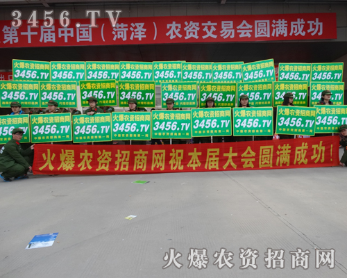 3456.TV在時(shí)光中成長(zhǎng),在實(shí)踐中收獲成功