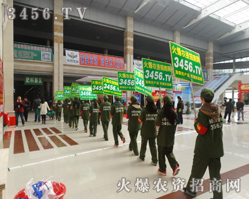 實(shí)效譽(yù)九州,火爆傳佳話(huà)