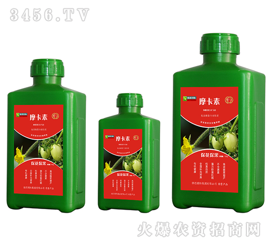 Һķ-Ħ-(qing)о