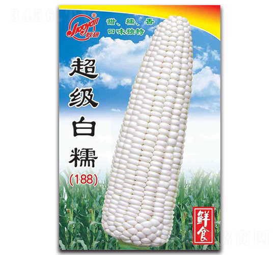 (j)Ŵ188-Ŵ׷N-z