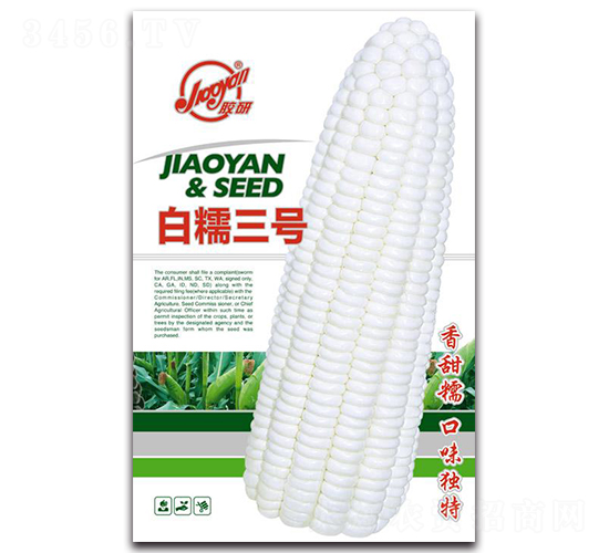 zаŴ̖-Ŵ׷N-z