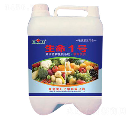 生命1號(hào)-芬美-龍燈