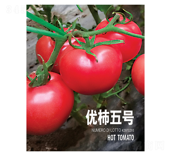 (yu)̖-r(chung)