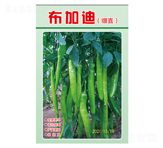 辣椒種子-布加迪（繃直）-尚豐農業(yè)