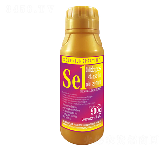 500gL(zhng)ɫ1̖(ho)-r(nng)