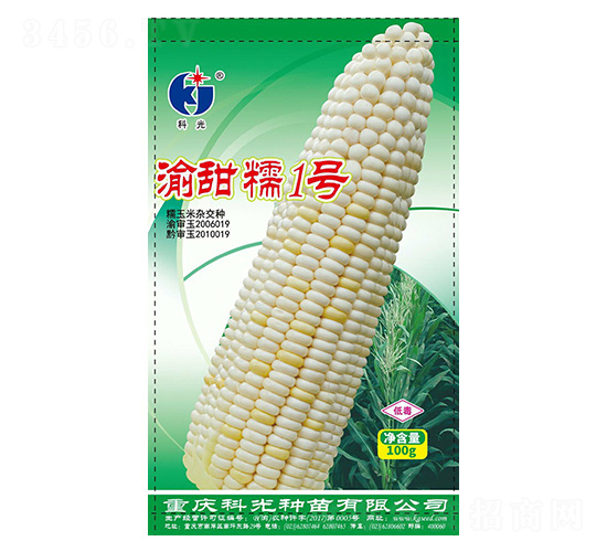 Ŵ1̖(ho)-ƹN