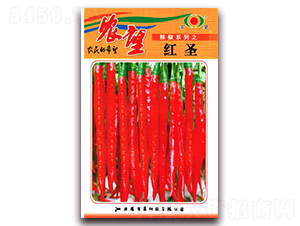 tʥ-(xin)N-r(nng)