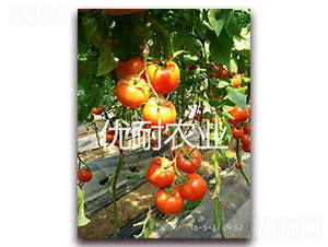 (yu)t1513-ѷN-(yu)rI(y)