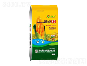 ጓ26-8-10-S7-옷(l)-|_(d)ʘI(y)