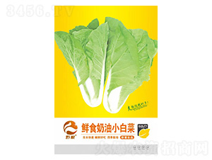 白菜種子-鮮食奶油小白菜-良籽農(nóng)業(yè)