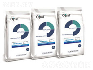 OPAL(gu)a(chn)ˮܷ-W㘷