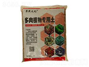 ֲ(zhun)-d