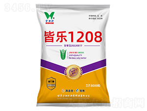 Ԙ(l)1208-׷N-NI(y)