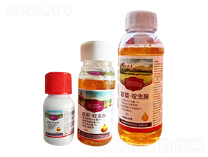 6%(lin)աx-P